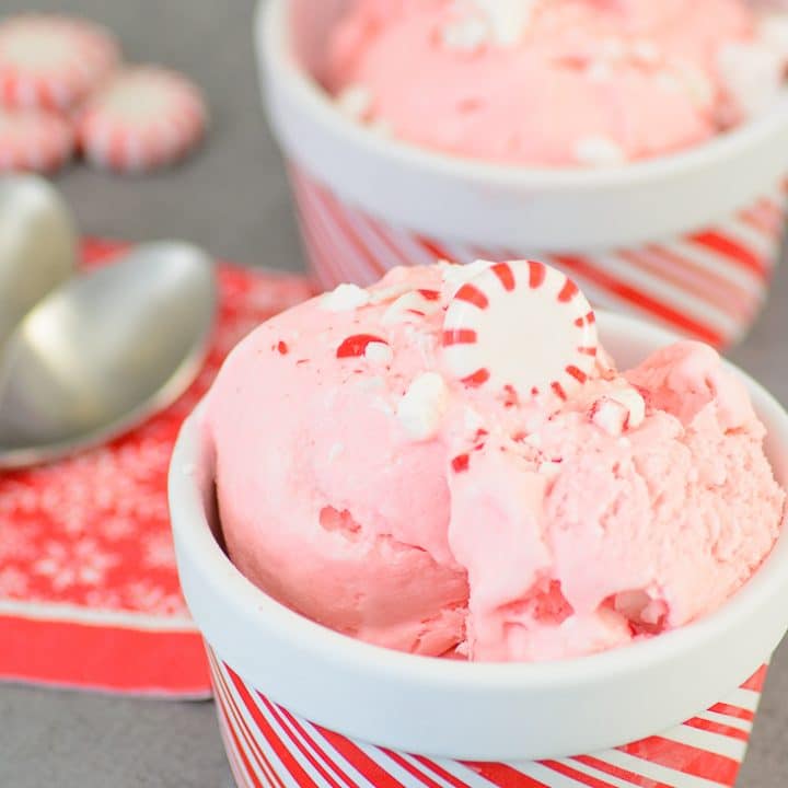 No Churn Peppermint Ice Cream. This homemade peppermint ice cream is so delicious and easy that it might make Santa skip the cookies this year!