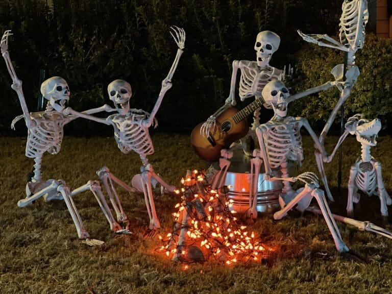 Halloween Skeleton Ideas
