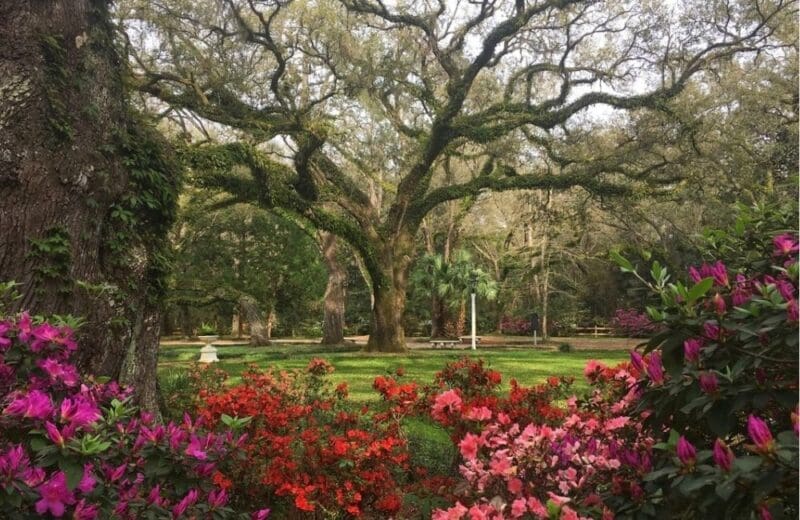 Eden Gardens State Park